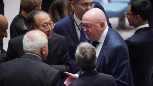 Fracasa resoluci&oacute;n sobre conflicto israelo-palestino en el Consejo de Seguridad por veto de EEUU