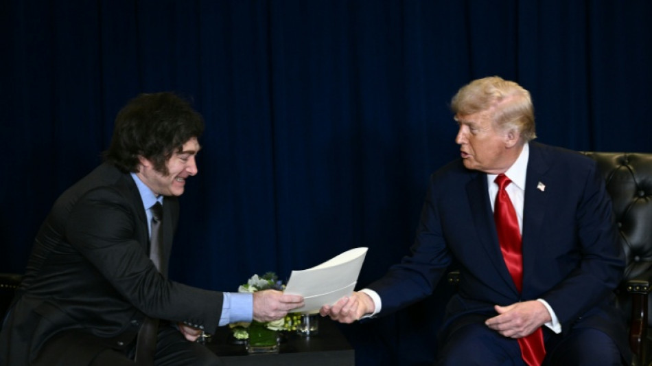 Washington en soutien appuyé à l'économie de son allié argentin Milei