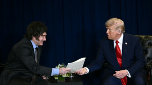 Washington en soutien appuyé à l'économie de son allié argentin Milei