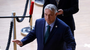 Primeiro-ministro h&uacute;ngaro pede 'cessar-fogo' na Ucr&acirc;nia para acelerar as negocia&ccedil;&otilde;es de paz