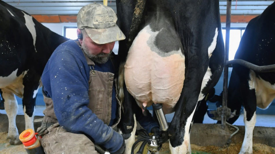 Milchwirtschaft: Genossenschaften DMK und Arla k&uuml;ndigen Fusion an