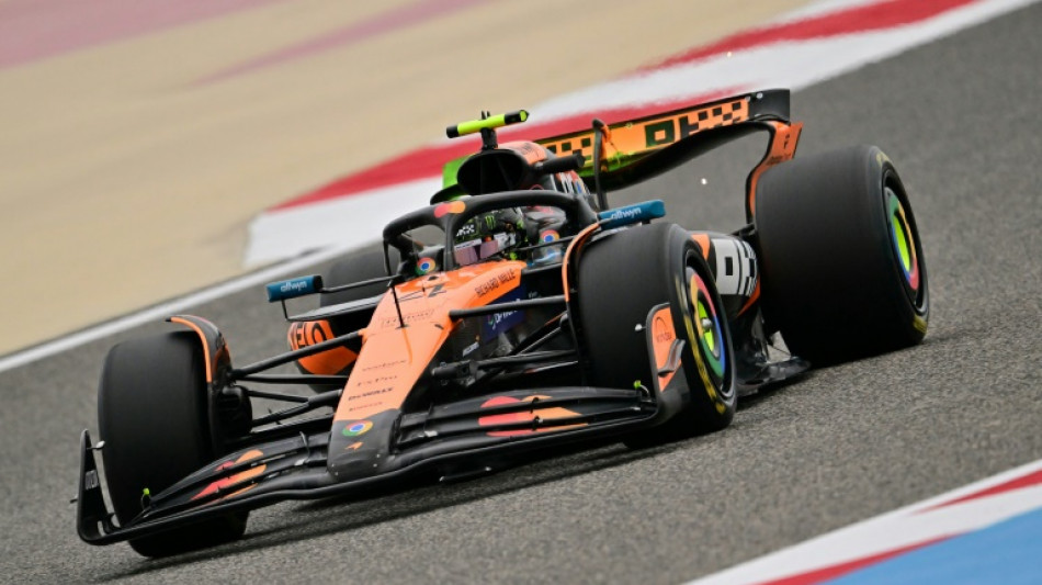 F1: Norris domine la premi&egrave;re journ&eacute;e des essais hivernaux