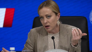 Meloni, italiani distinguono fra cinismo e la solidariet&agrave; vera