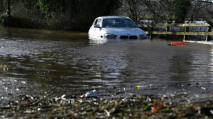 Temp&ecirc;te Isha: deux morts au Royaume-uni, fortes perturbations en Irlande