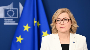La UE quiere dar prioridad a grupos europeos en contratos digitales e IA