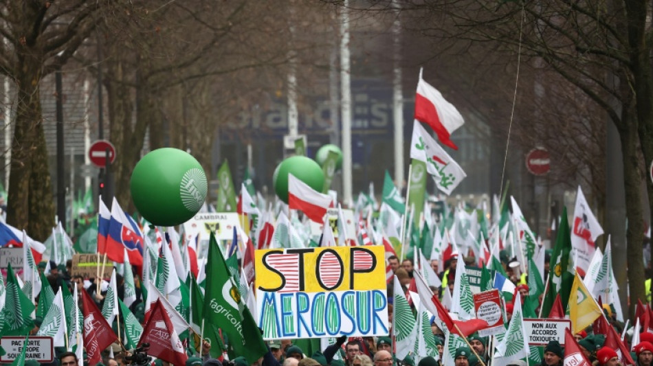 Parlamento Europeu realiza primeira vota&ccedil;&atilde;o sobre o Mercosul, marcada por interesses nacionais