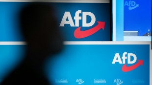 Berlin will als Richterin t&auml;tige fr&uuml;here AfD-Abgeordnete in Ruhestand schicken