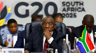 Ramaphosa labels US attacks on S.Africa 'misinformation'