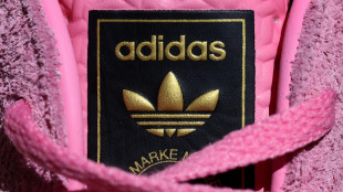 Adidas reports higher profits but warns of 'volatile' climate