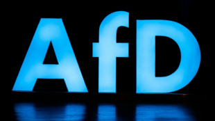 Sicherheitspolitiker von CDU und Grünen warnen vor russischer Spionage durch AfD