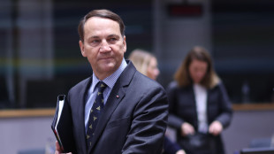 Oggi call dei ministri degli esteri Ue e Ucraina sul piano