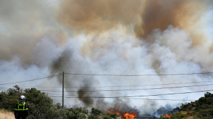 Pyr&eacute;n&eacute;es-Orientales: s&eacute;cheresse de l'air, chaleur et vent, "comme du carburant" pour l'incendie