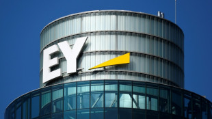 EY: "Sinkflug" bei ausländischen Direktinvestitionen in Deutschland hält an