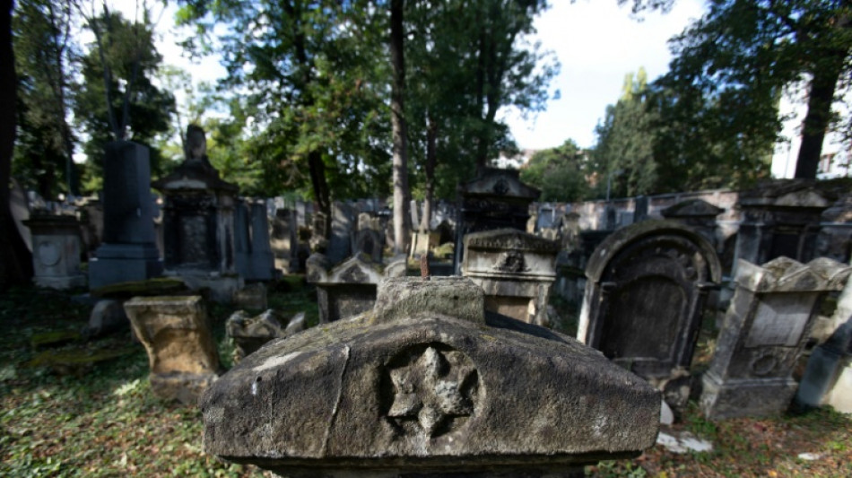 Austria naturaliz&oacute; desde 2020 a m&aacute;s de 40.000 descendientes de v&iacute;ctimas del nazismo