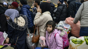 M&aacute;s de 410.000 sirios refugiados en Turqu&iacute;a han regresado a su pa&iacute;s desde diciembre