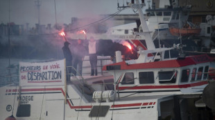 Journ&eacute;es mortes dans les ports: des actions dans les principaux ports fran&ccedil;ais