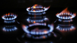 Arera, a luglio prezzo del gas +9,7% per clienti vulnerabili