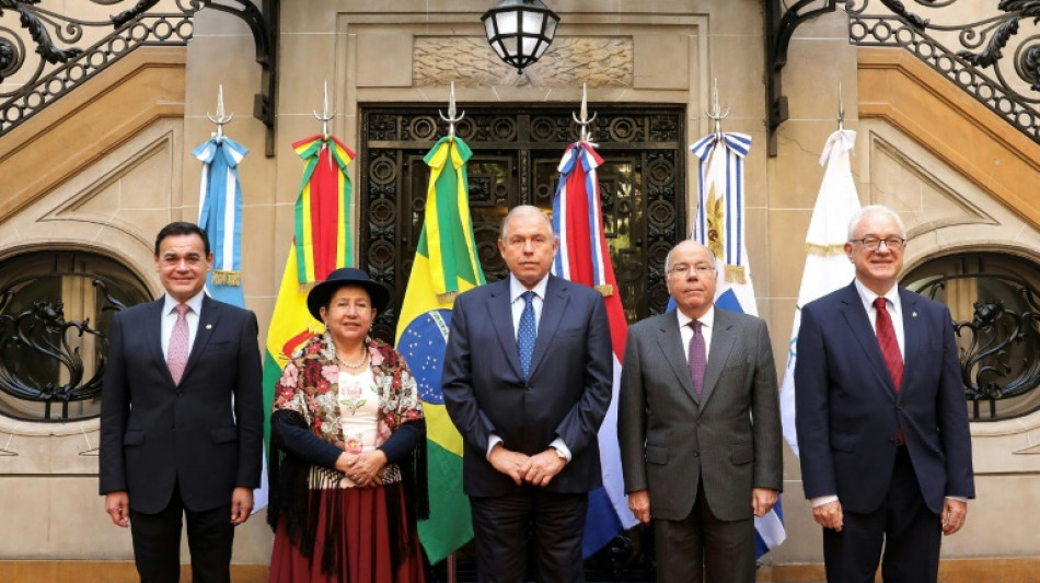 Mercosur ampliar&aacute; excepciones arancelarias ante guerra comercial de Trump