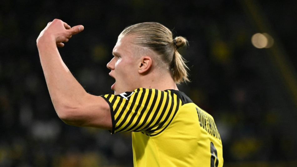 Beim Haaland-Comeback: Dortmunder J&auml;ger nehmen Witterung auf