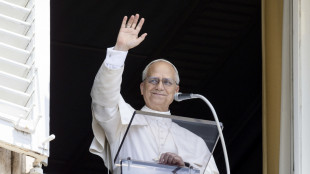 Papa, la violenza delle armi sia sostituita dal dialogo