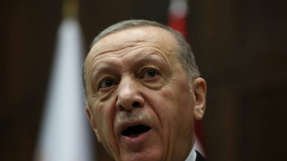 Erdogan somete la adhesi&oacute;n de Suecia a la OTAN al parlamento turco para su votaci&oacute;n