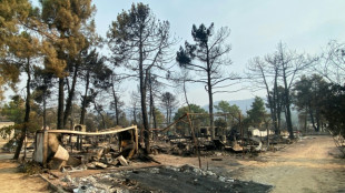 Spain wildfire burns campsite to ash, leaving tears and despair
