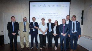 Aziende-istituzioni e Terzo Settore per sviluppo dell'Africa