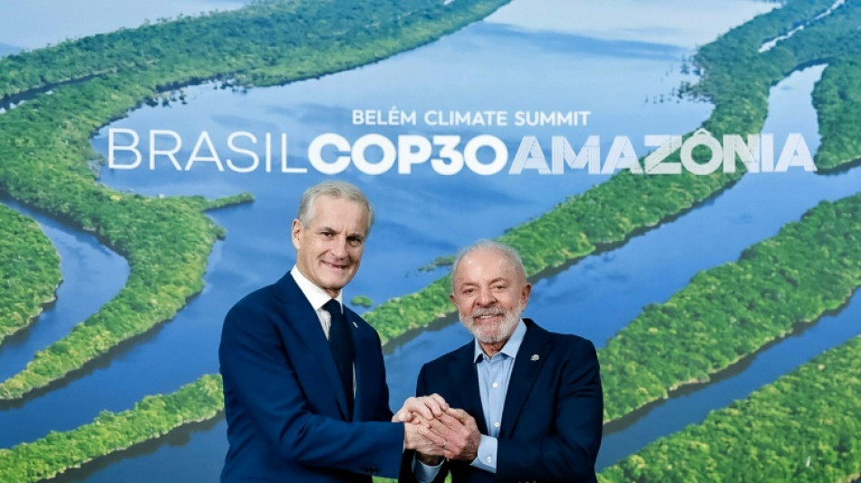 Norwegen stellt bei Klimagipfel Milliarden für neuen Waldschutz-Fonds in Aussicht