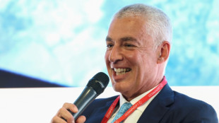 Leonardo chief sees potential for Germany to join GCAP fighter jet project