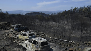 Waldbrand im Nordwesten Spaniens zerst&ouml;rt etwa 600 Hektar Land