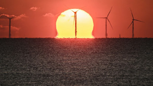 Eolien en mer: Macron annonce un &eacute;norme appel d'offres en 2025
