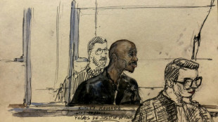 Lebenslange Haftstrafe f&uuml;r liberianischen Ex-Rebellenf&uuml;hrer in Paris gefordert
