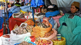 Bolivie : les p&eacute;nuries s'att&eacute;nuent malgr&eacute; neuf barrages routiers encore actifs
