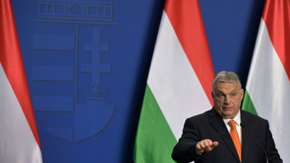 El dirigente h&uacute;ngaro Viktor Orban visitar&aacute; al papa el jueves