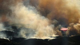 Los incendios "m&aacute;s devastadores" de California siguen sin control en Los &Aacute;ngeles