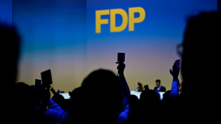 FDP setzt Parteitag fort - Wirtschaftspolitik im Mittelpunkt
