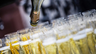 Pro-Kopf-Konsum f&uuml;nf Flaschen: Deutsche tranken 2022 im Schnitt 38 Gl&auml;ser Sekt 
