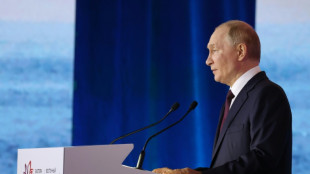 Putin: Westliche Soldaten in der Ukraine wären ein "legitimes Ziel"