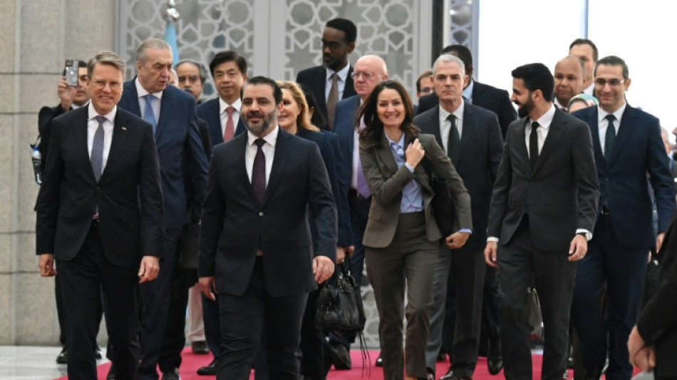 Conselho de Segurança da ONU afirma estar disposto a apoiar Síria durante visita