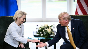 Tout en diversifiant ses alliances, l'UE veut pr&eacute;server son accord commercial avec Trump