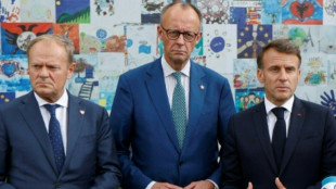 Merz reist mit Macron und Tusk nach Moldau - Signal der Unterstützung an Unabhängigkeitstag