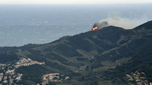 Erster gro&szlig;er Waldbrand des Jahres in Frankreich zerst&ouml;rt etwa 1000 Hektar
