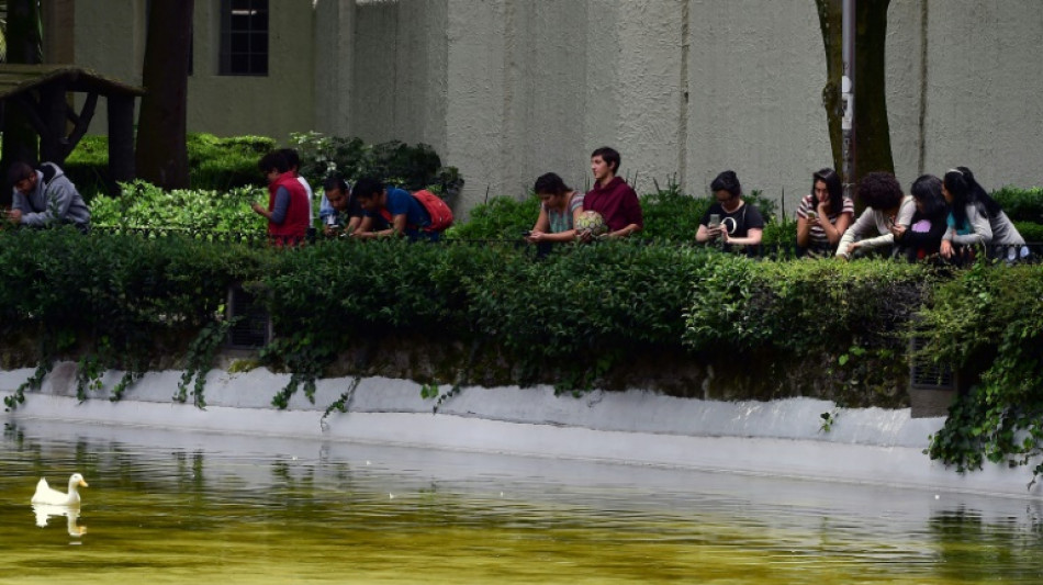 Beschwerde gegen Beschlagnahme von Handy unzulässig - Karlsruhe hat aber Bedenken