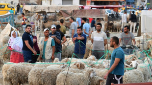 Le pouvoir d'achat des Tunisiens &agrave; l'&eacute;preuve du mouton de l'A&iuml;d