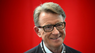 Embaixador britânico nos Estados Unidos é destituído por vínculos com Epstein