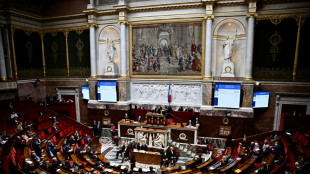 D&eacute;rives sectaires: l'Assembl&eacute;e approuve finalement le d&eacute;lit de provocation &agrave; l'abandon de soins