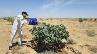 Libye: jadis fertile, une zone montagneuse en proie au d&eacute;r&egrave;glement climatique