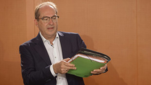 Dobrindt will noch in diesem Jahr Vereinbarungen mit Syrien zu Abschiebungen