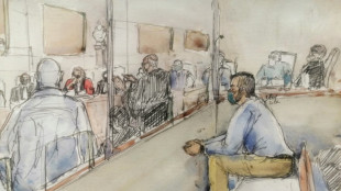 Proc&egrave;s Lelandais: le parcours chaotique de l'accus&eacute; pass&eacute; au crible