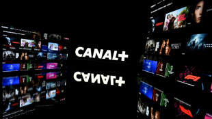 Canal+ cesse de diffuser des cha&icirc;nes du groupe TF1 en France et en Afrique